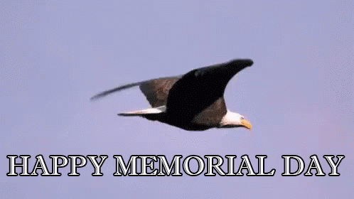 R.gif